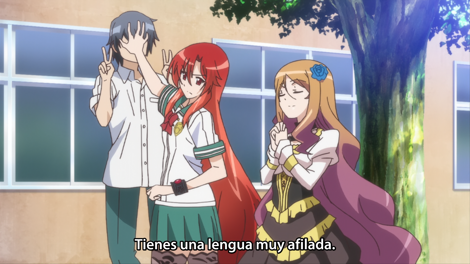 Dakara Boku wa, H ga Dekinai (Japan Universe)